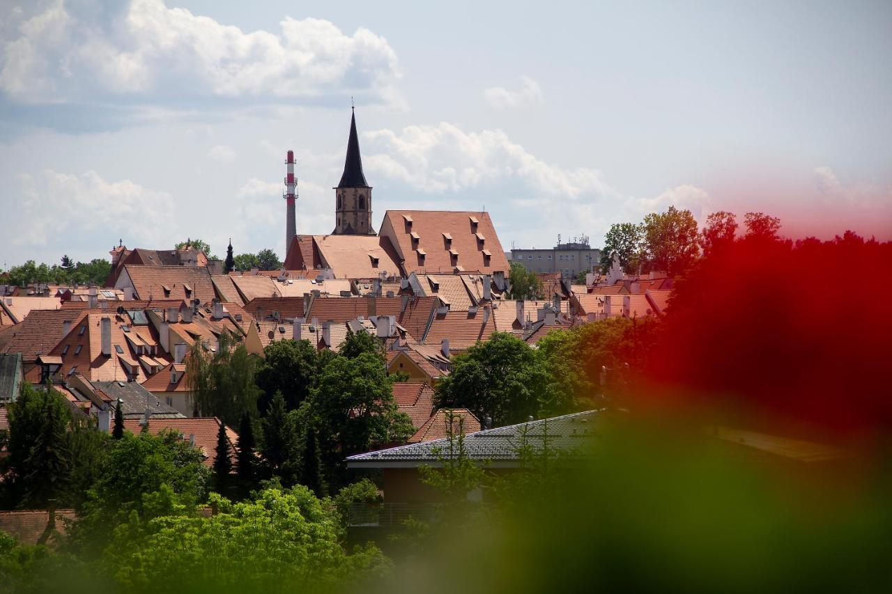 Penzion Cafe Na Svahu Cheb Exteriör bild